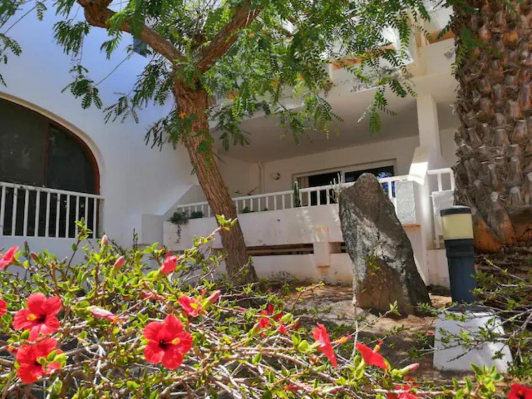 Comfortable Cleo Apartment With Large Terrace Costa Teguise Exterior photo