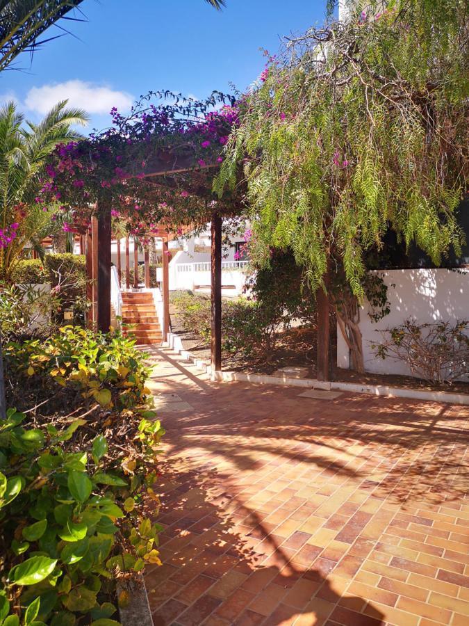 Comfortable Cleo Apartment With Large Terrace Costa Teguise Exterior photo